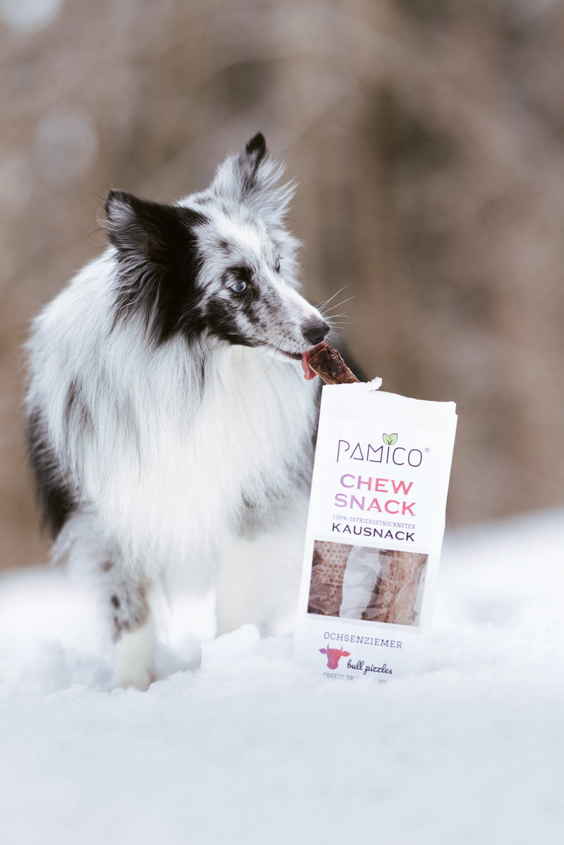 Frysetørket okse-pizzle – Naturlig og langvarig tygg til hund I Pamico | Pawesomeday.no