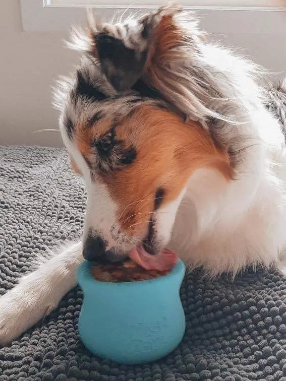 TOPPL Treat Toy - West Paw | Pawesomeday.no
