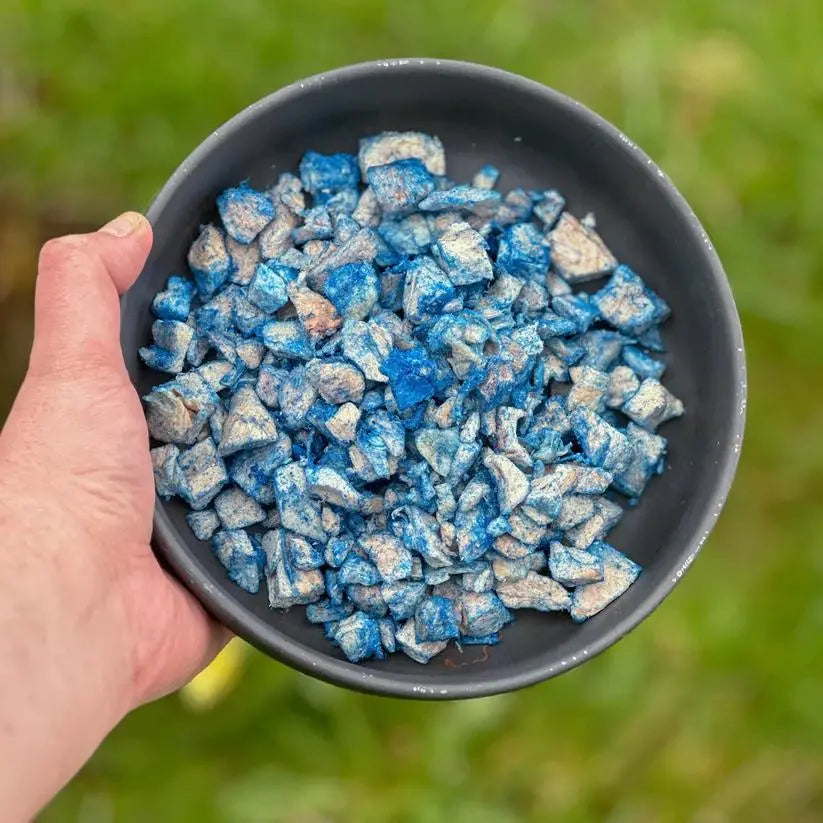 Blå Spirulina - Helsefordeler for hunder