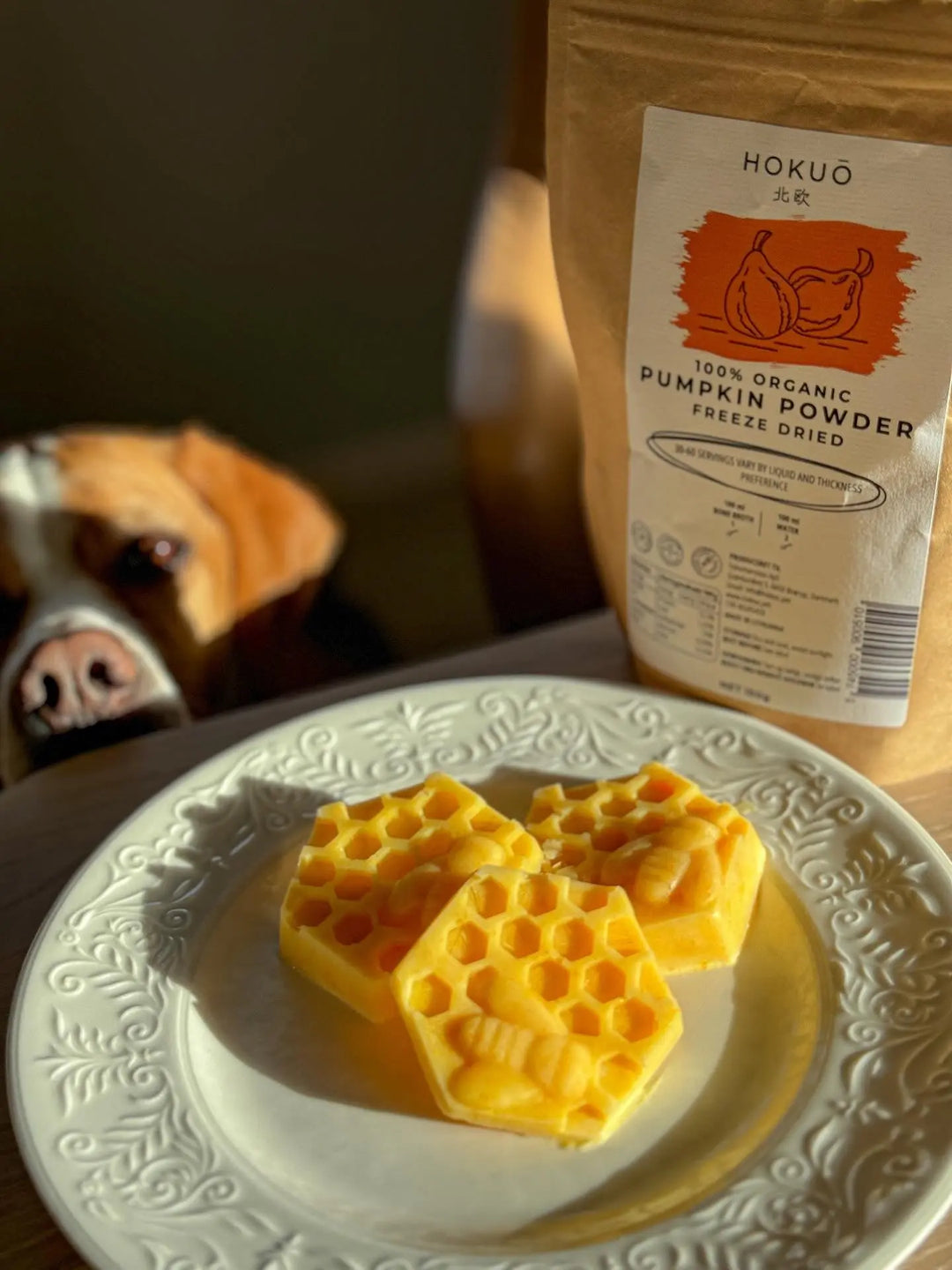 Hvorfor hunder kan (og bør) få gresskar pulver 🎃