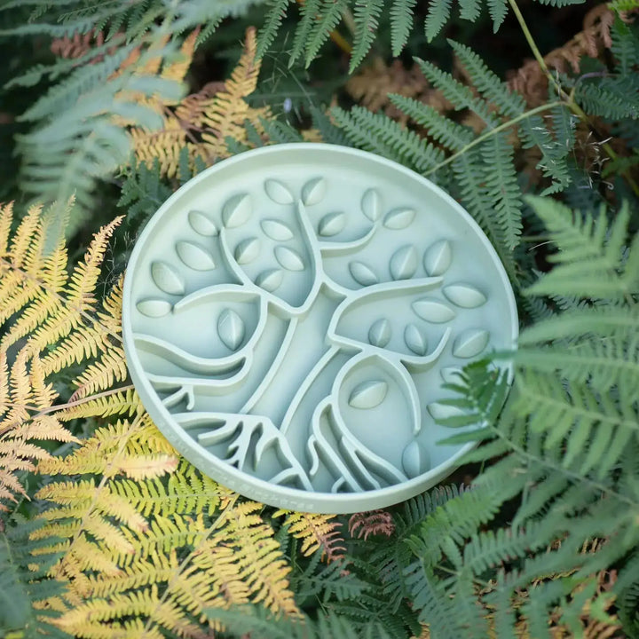 PRE-ORDER Bodhi &amp; The Birchtree Slow feeder Bowl | Foliage   |  Pawesomeday.no