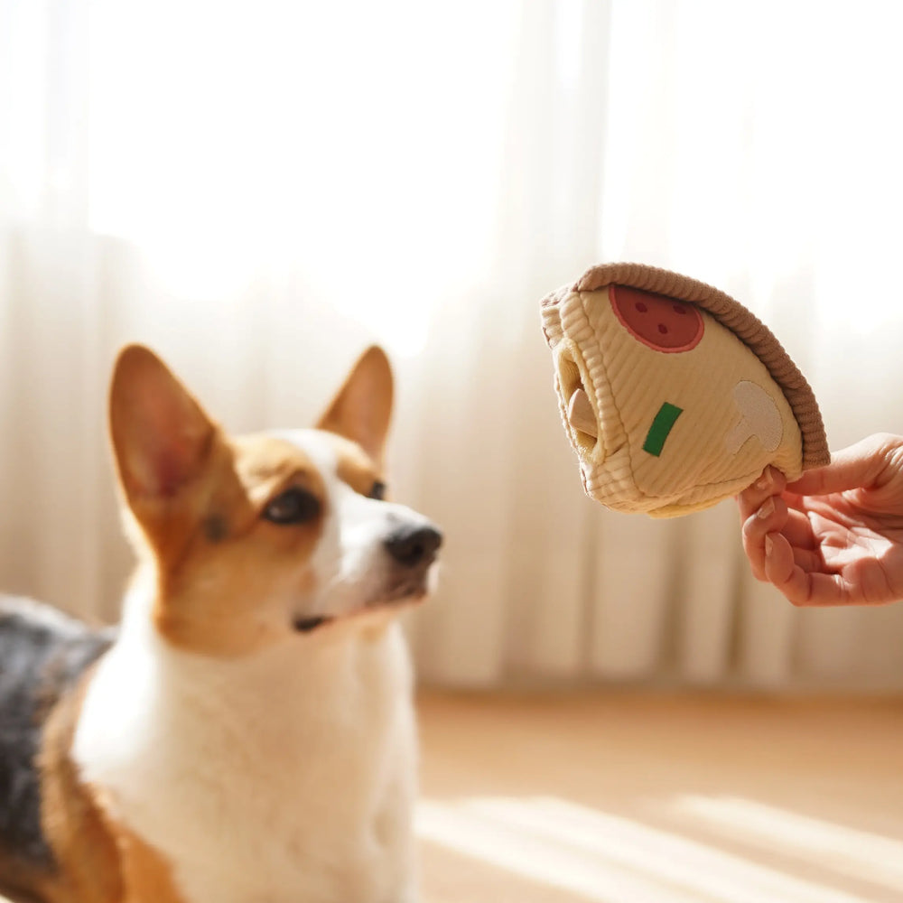 DEEP DISH PIZZA//ENRICHMENT DOG TOY  |  Pawesomeday.no