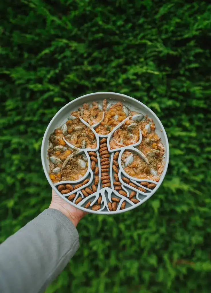 PRE-ORDER Bodhi &amp; The Birchtree Slow Feeder Bowl | Alpine  |  Pawesomeday.no
