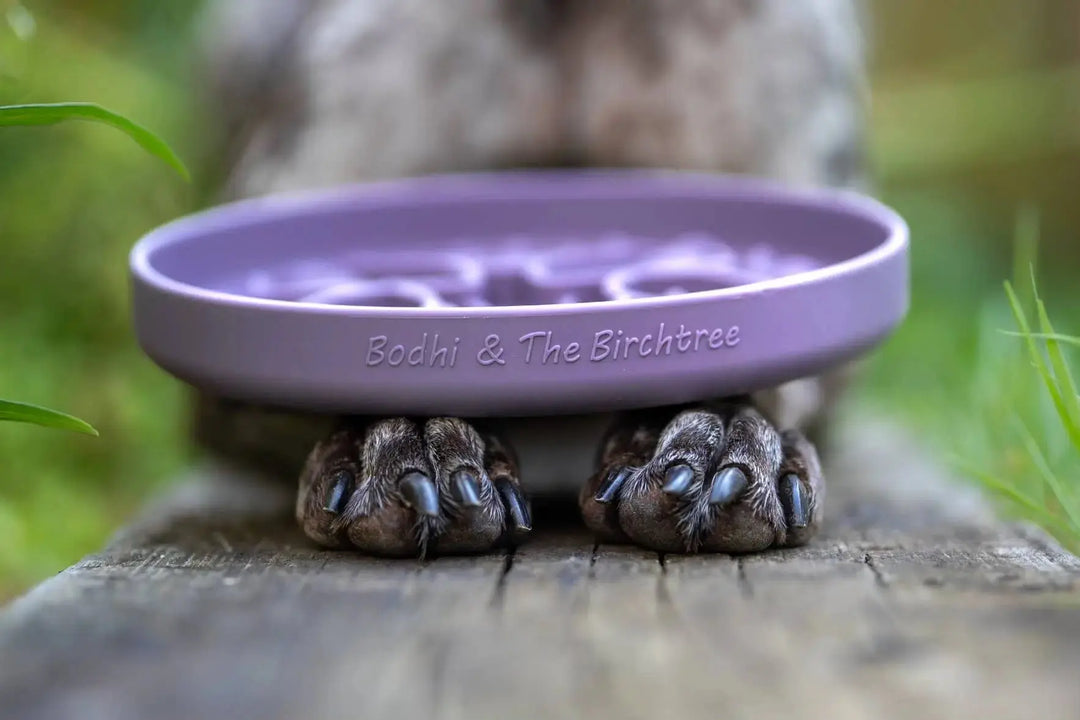 PRE-ORDER Bodhi &amp; The Birchtree Slow Feeder Bowl | Damson  |  Pawesomeday.no