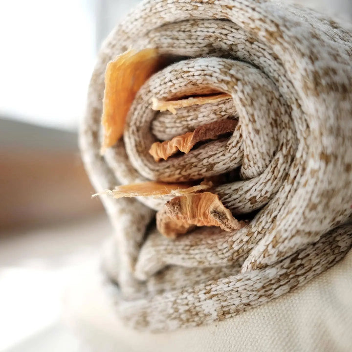 SNAIL//ENRICHMENT DOG TOY  |  Pawesomeday.no