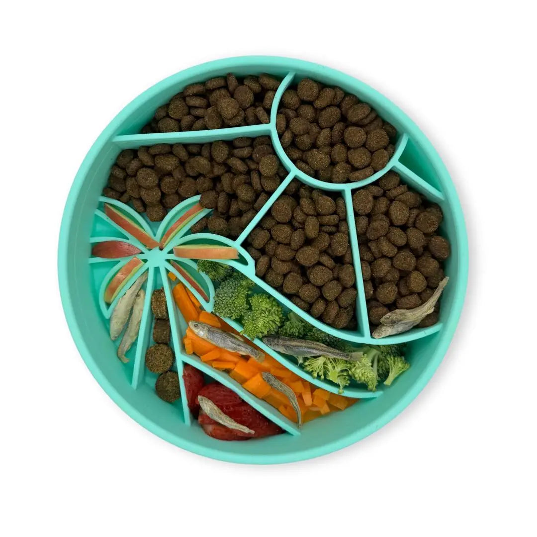 Loco Coco Interactive Slow Feeder Bowl  |  Pawesomeday.no