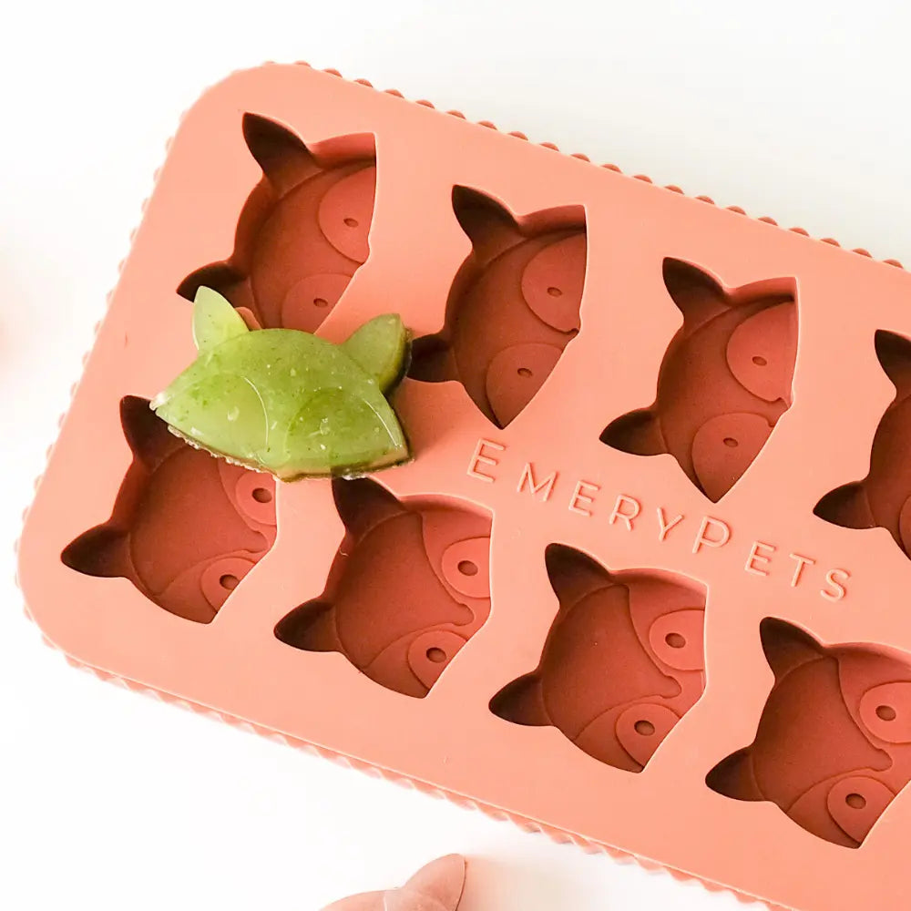 Fox + Raccoon Treat Mold  |  Pawesomeday.no