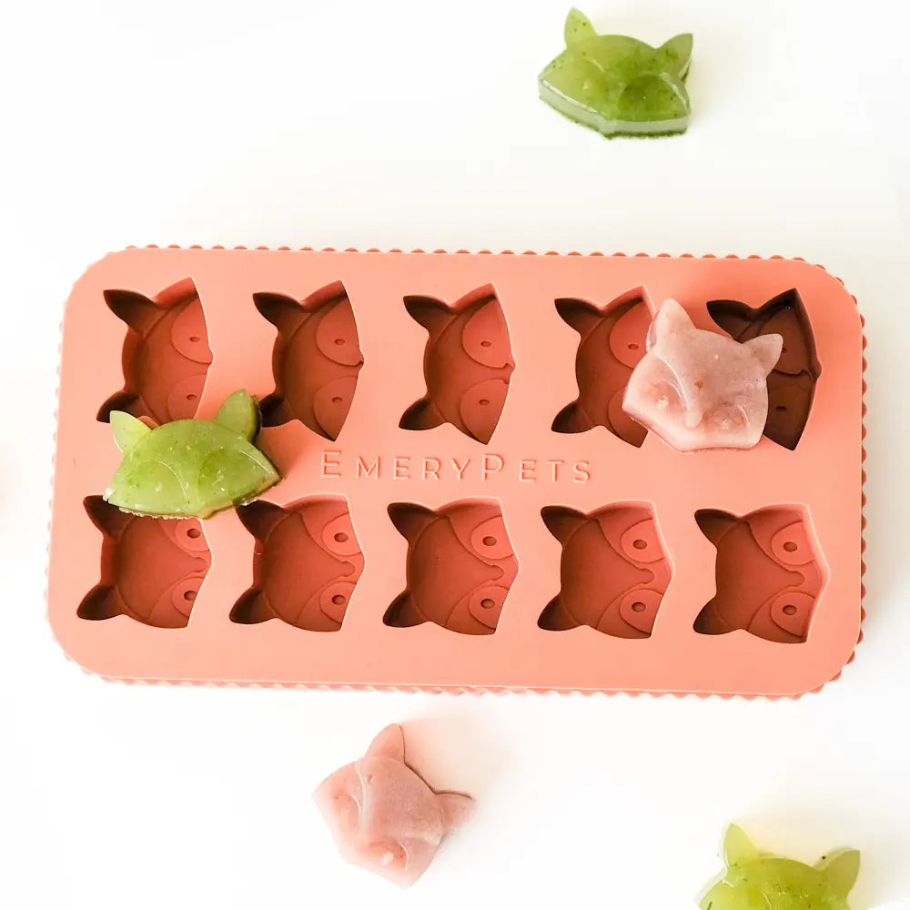 Fox + Raccoon Treat Mold  |  Pawesomeday.no