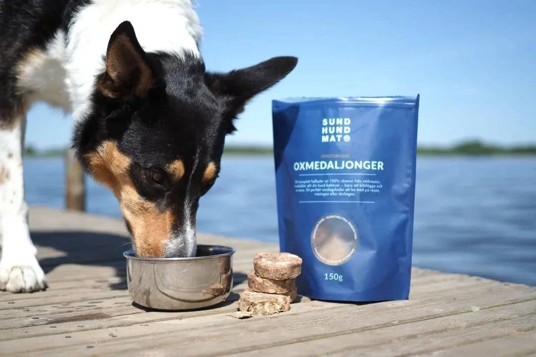 Freeze-dried beef mix (medallions) 150 g  |  Pawesomeday.no
