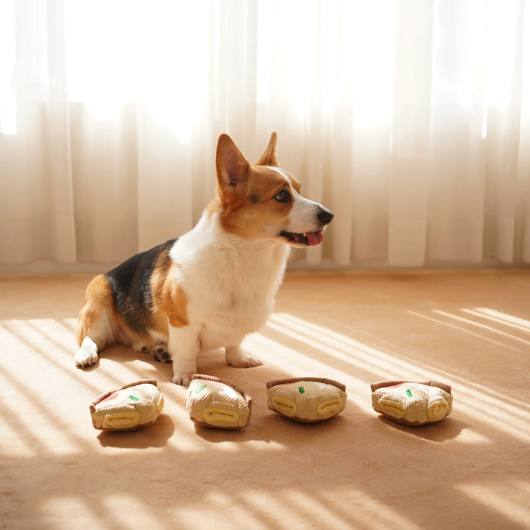 DEEP DISH PIZZA//ENRICHMENT DOG TOY  |  Pawesomeday.no