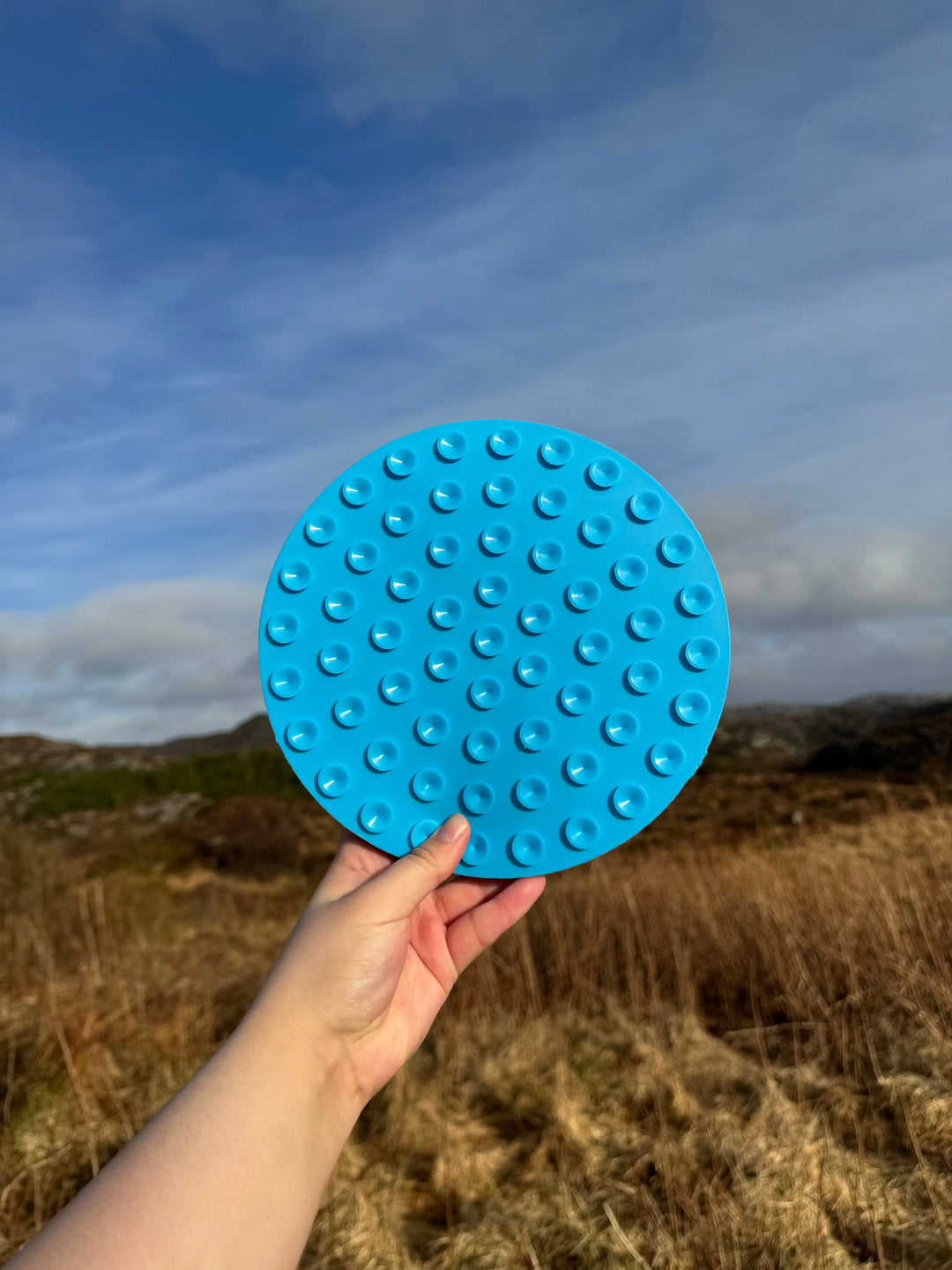 Slowfeeder og slikkematte med sugekopp  |  Pawesomeday