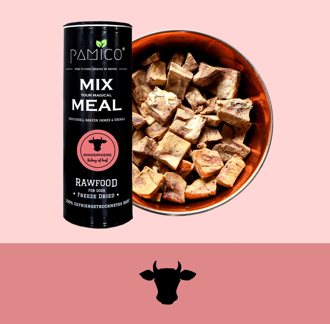 Frysetørket storfenyre til hund og katt | Pamico  |  Pawesomeday.no