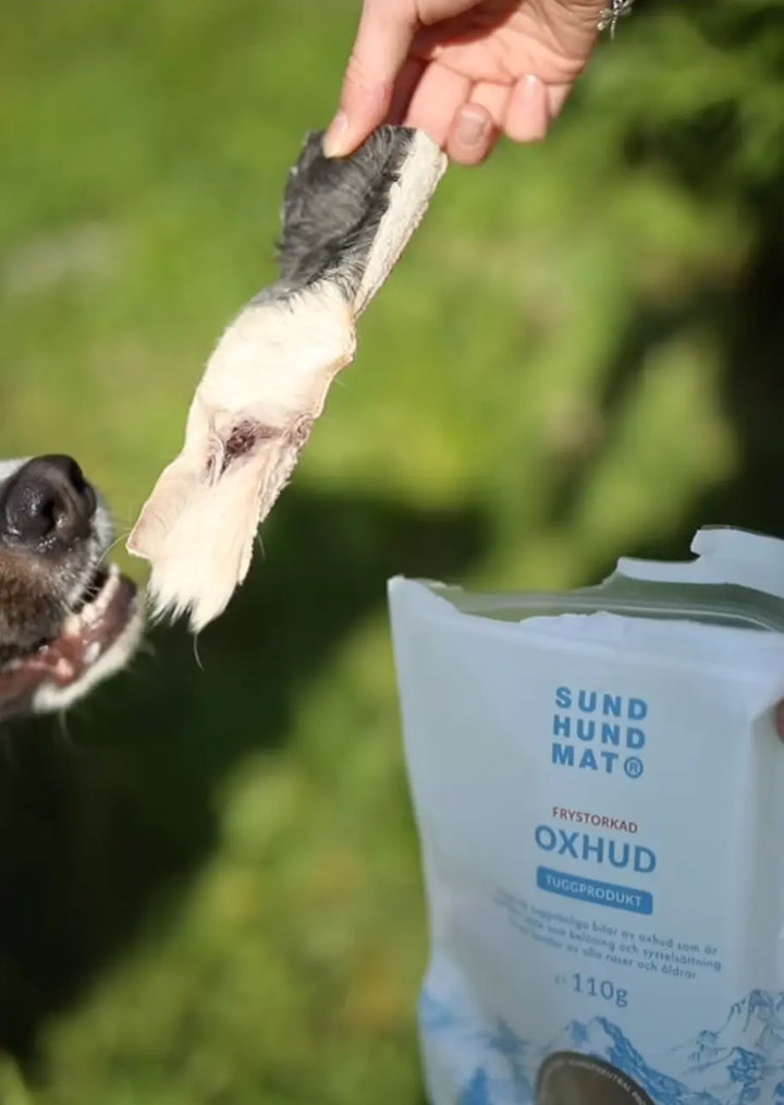 Freeze-dried Oxhud 110g  |  Pawesomeday.no