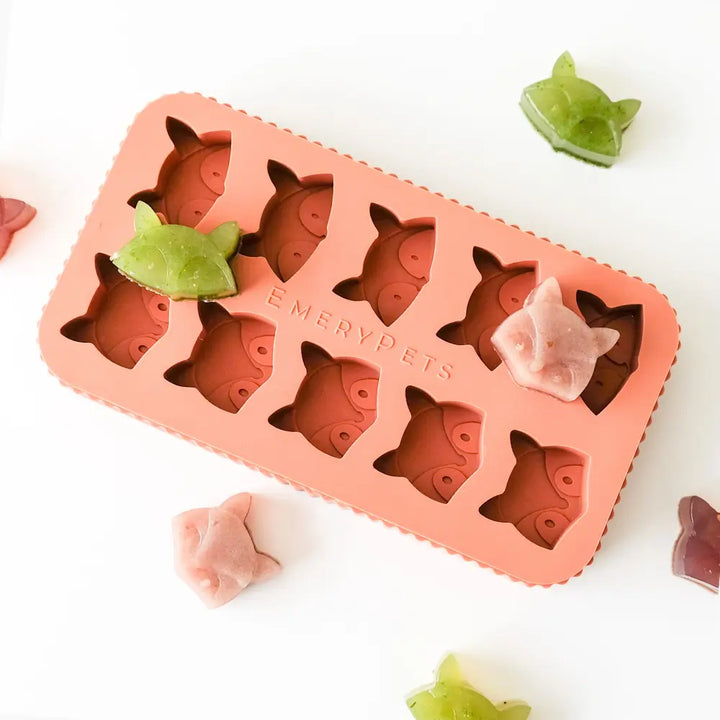 Fox + Raccoon Treat Mold  |  Pawesomeday.no