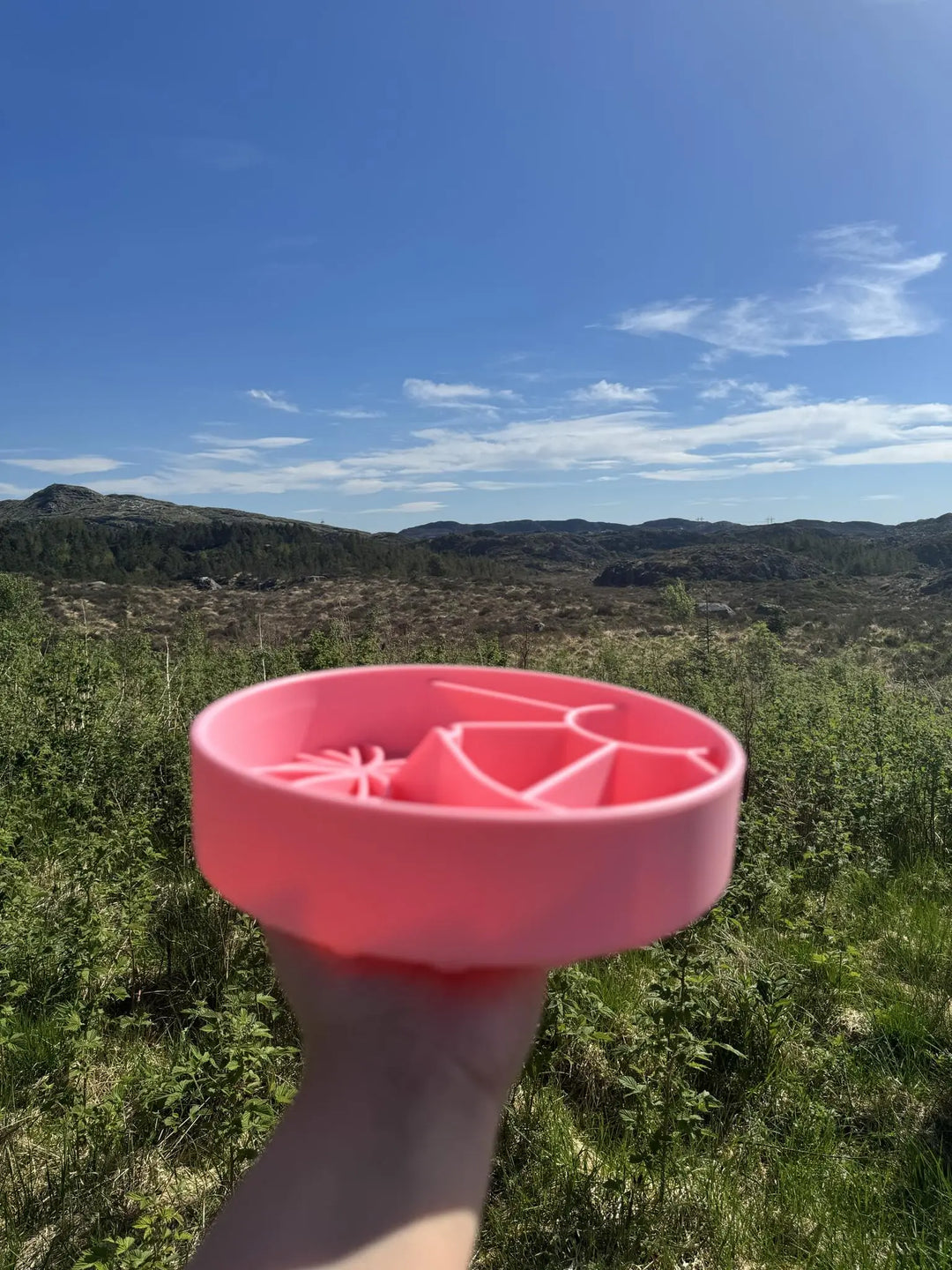 Loco Coco slowfeeder skål  |  Pawesomeday.no