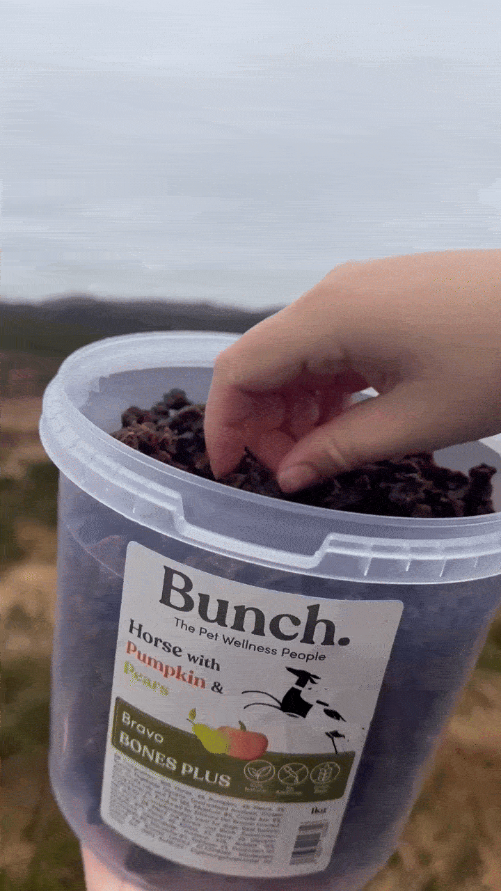 Treningsgodbiter av hest, gresskar og pære | Bunch | 1kg &amp; 100g  |  Pawesomeday.no