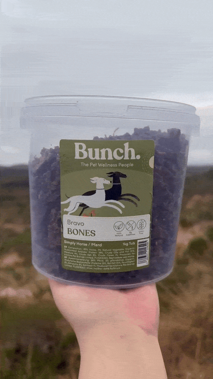 Treningsgodbiter av hest | Bunch | 1kg &amp; 100g  |  Pawesomeday.no