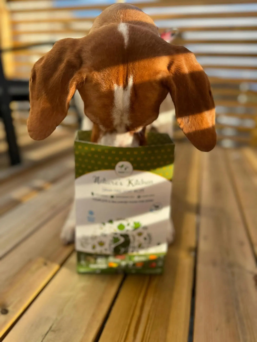 Pawfect Nature&