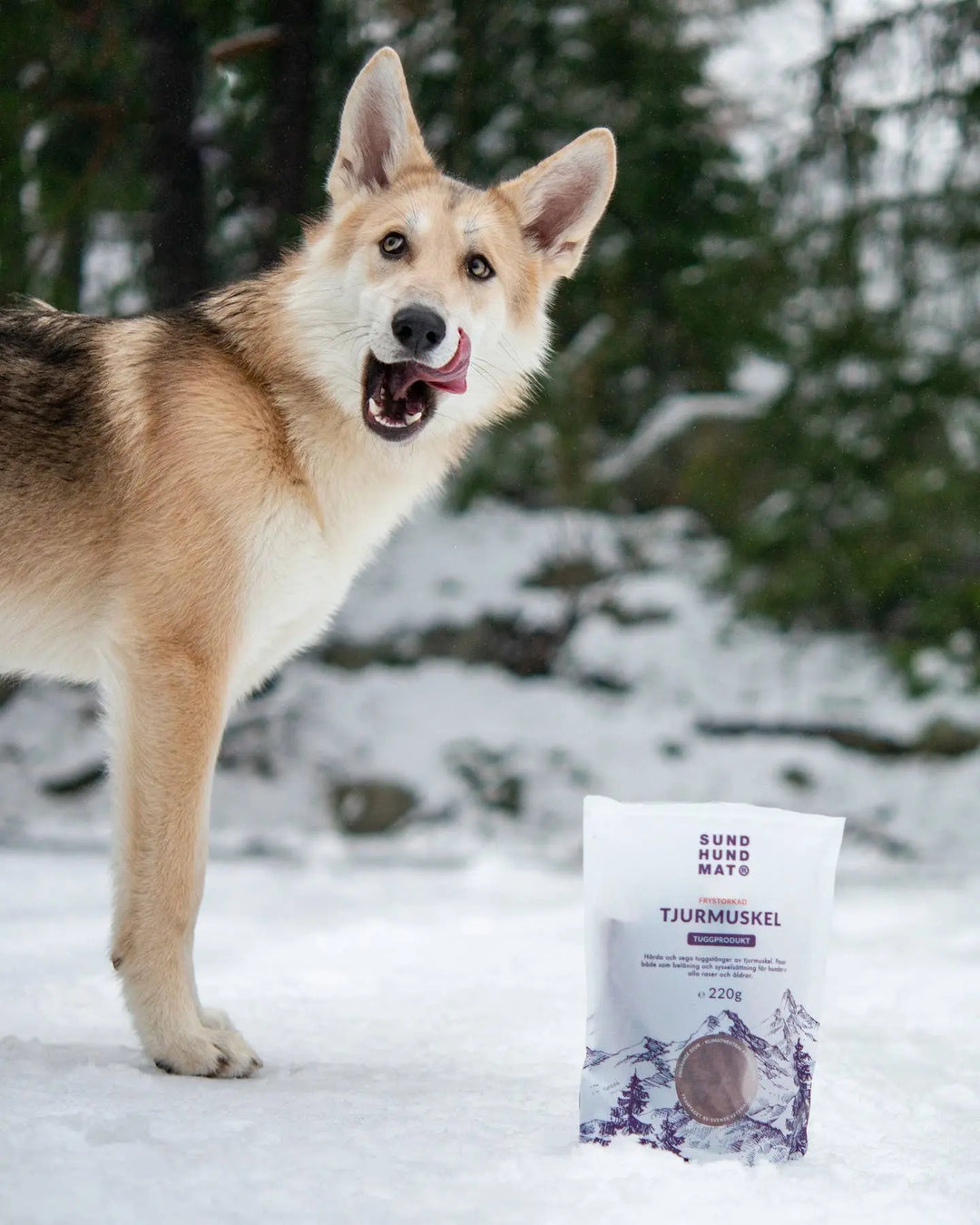 Freeze-dried Bull Muscle 220g  |  Pawesomeday.no