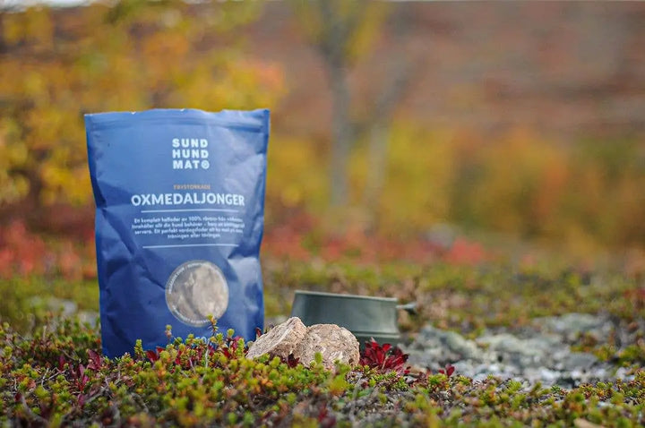 Freeze-dried beef mix (medallions) 150 g  |  Pawesomeday.no