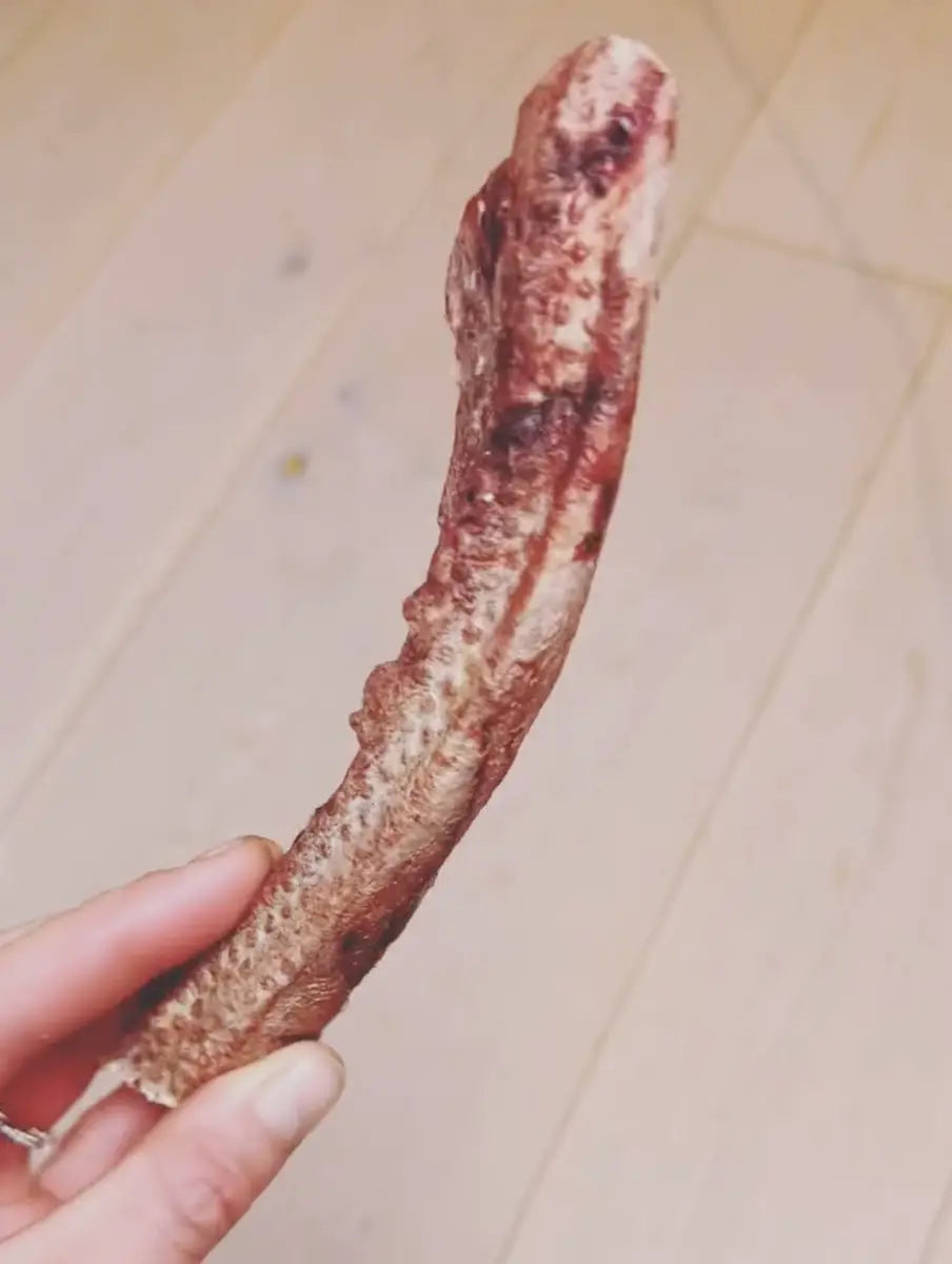 Freeze-dried Bull Muscle 220g  |  Pawesomeday.no