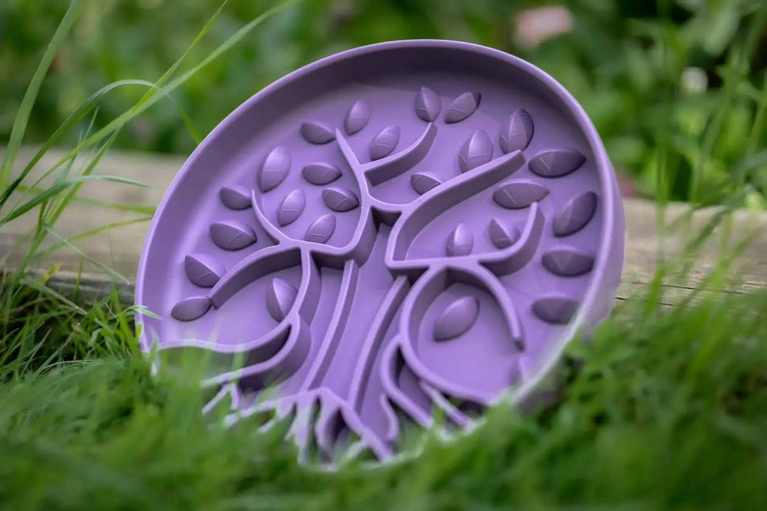 PRE-ORDER Bodhi &amp; The Birchtree Slow Feeder Bowl | Damson  |  Pawesomeday.no