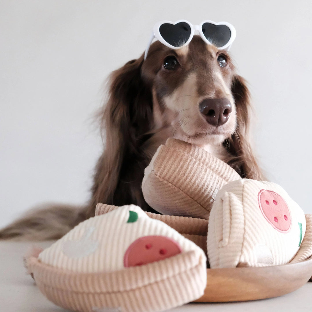 DEEP DISH PIZZA//ENRICHMENT DOG TOY  |  Pawesomeday.no