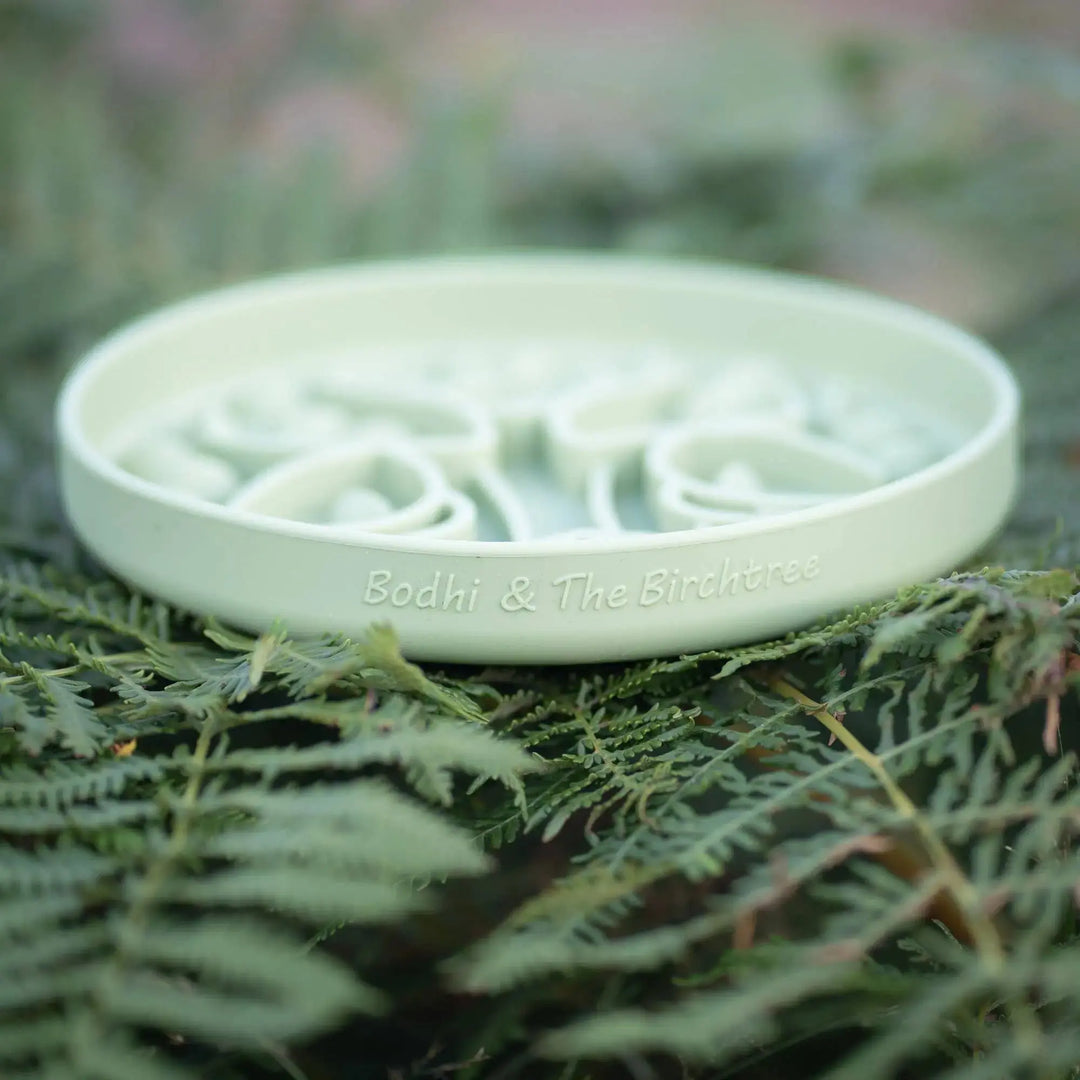 PRE-ORDER Bodhi &amp; The Birchtree Slow feeder Bowl | Foliage   |  Pawesomeday.no