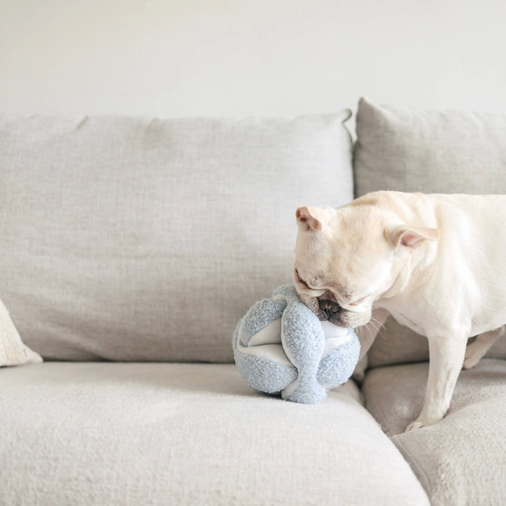 MONTI//ENRICHMENT DOG TOY  |  Pawesomeday.no