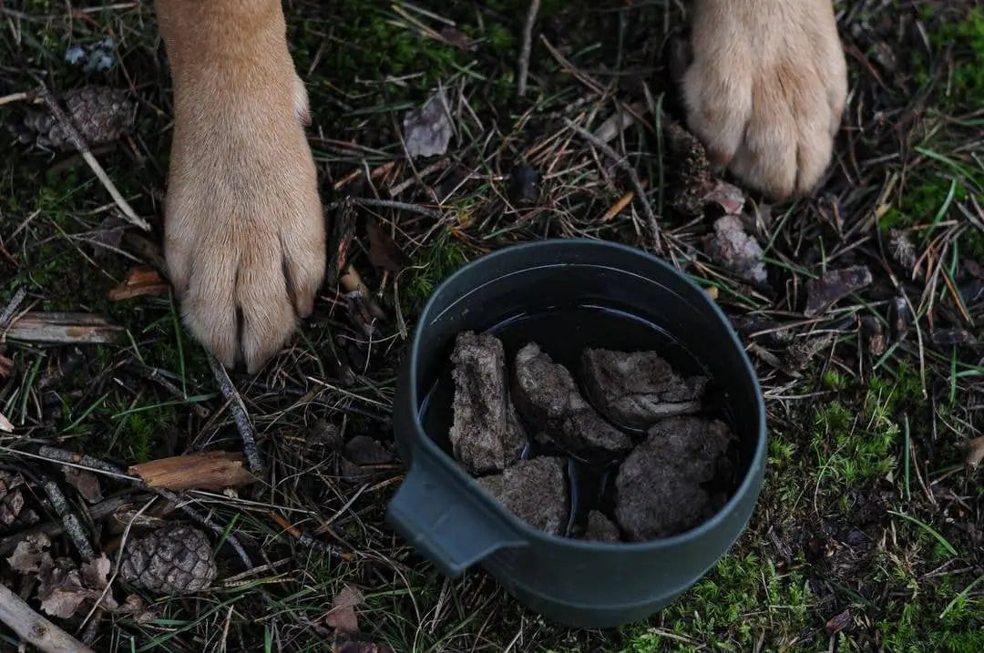 Freeze-dried lamb mix (medallions) 150g  |  Pawesomeday.no