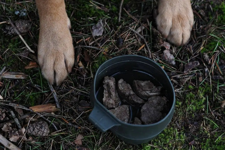 Freeze-dried lamb mix (medallions) 150g  |  Pawesomeday.no