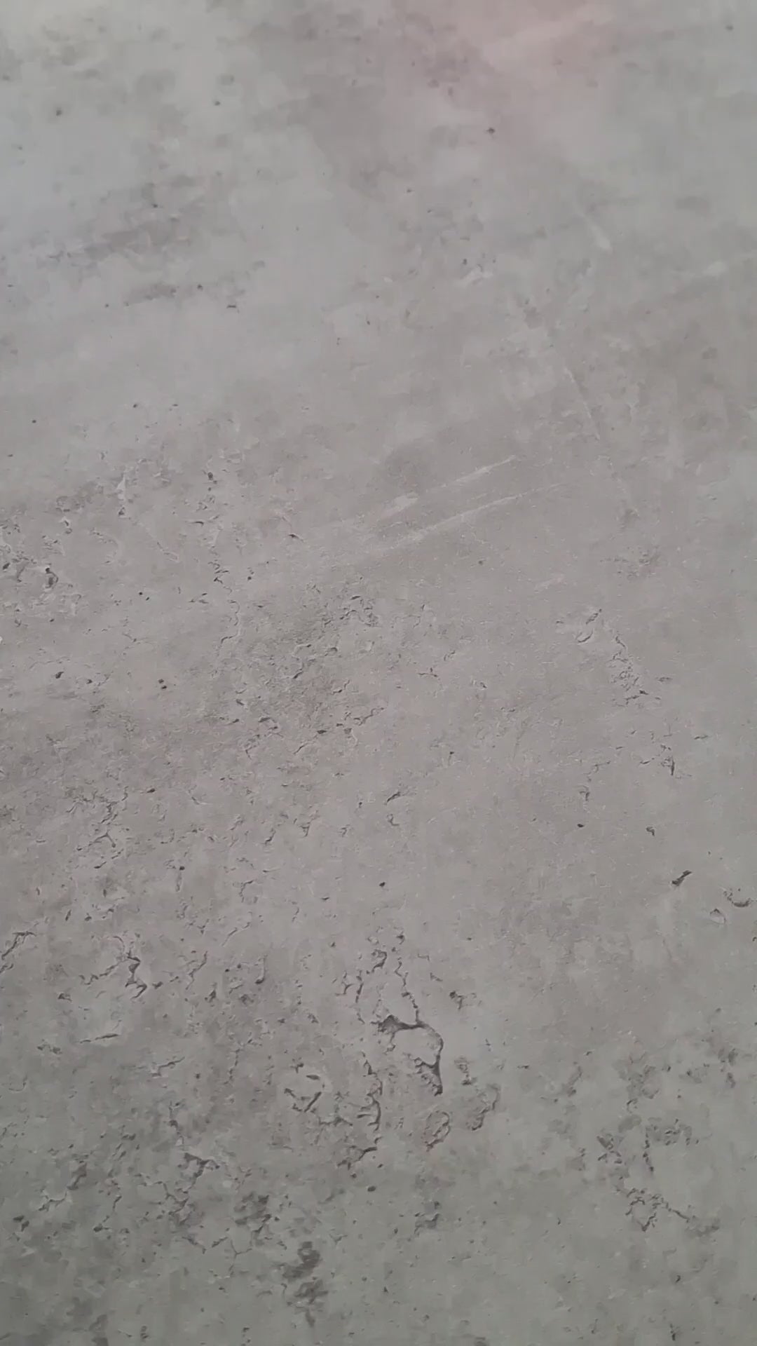 ️Snigel
