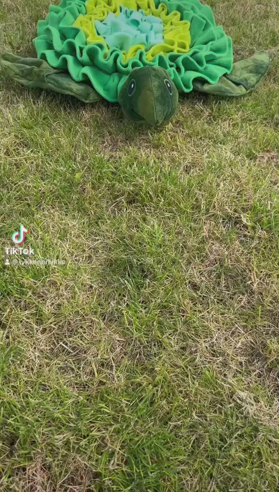 Sköldpaddssnusmatta